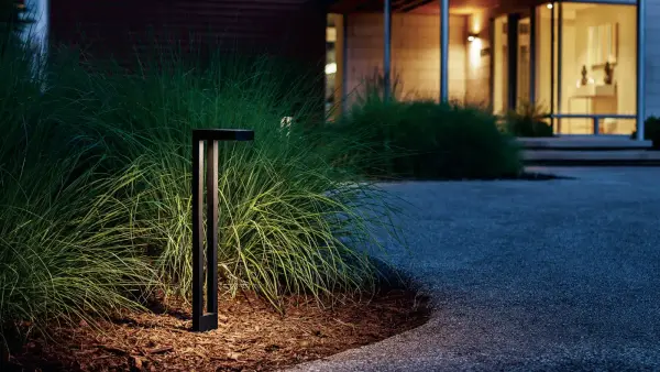 Path lighting through ornamental grasses
